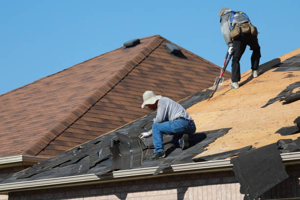 Best Roof Insulation Installation  in Soddy Daisy, TN